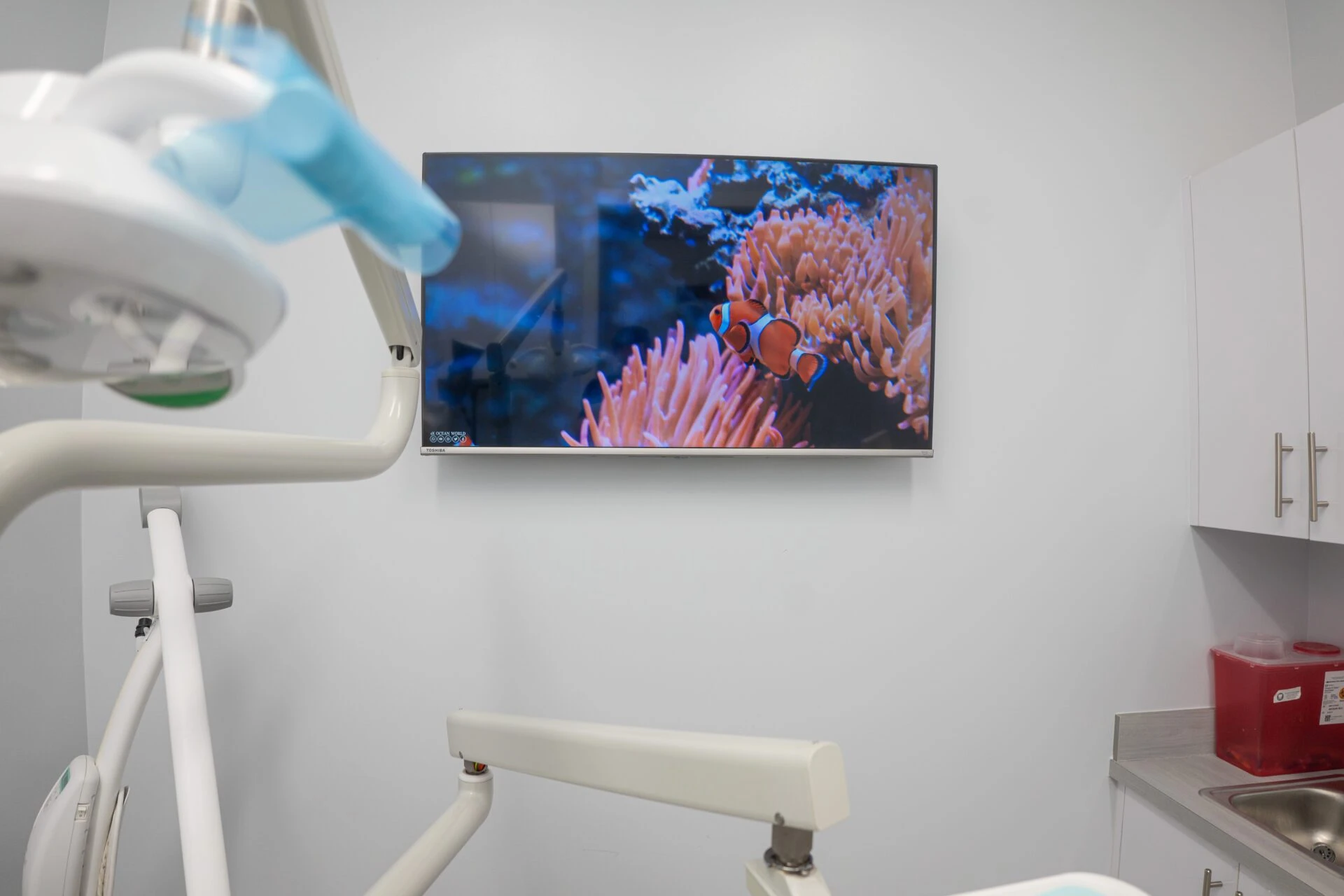A modern dental exam room featuring a large television screen displaying a colorful clownfish among coral reef anemones for patient relaxation.